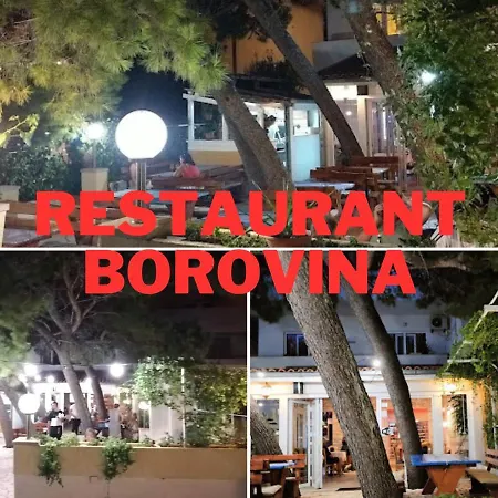 Borovina *